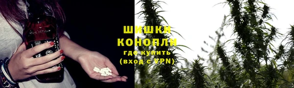 apvp Иннополис