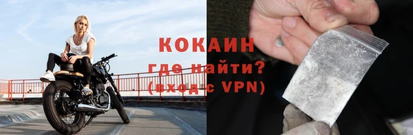 шишки Карпинск