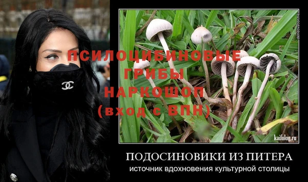 apvp Иннополис