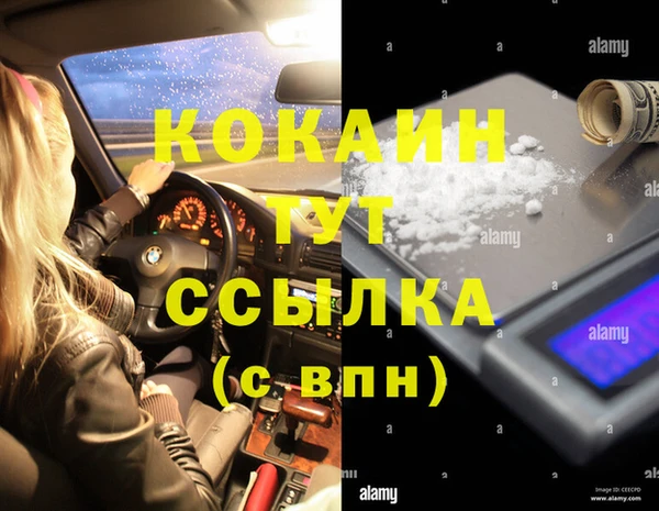 мяу мяу мука Инсар