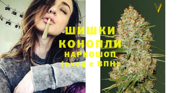 мяу мяу мука Инсар