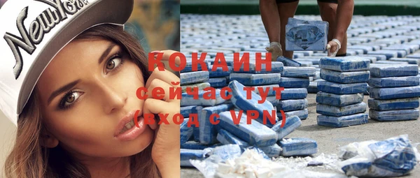 мяу мяу мука Инсар