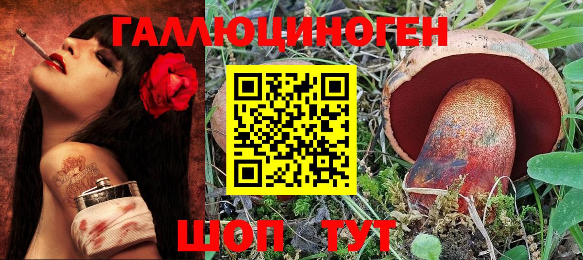 Галлюциногенные грибы мухоморы Юрга
